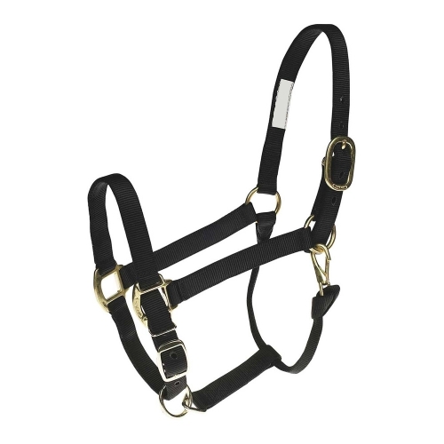 Horse Halter