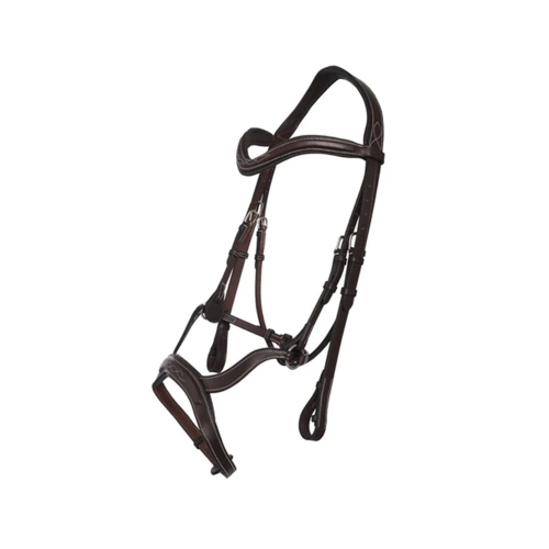 Horse Bridle