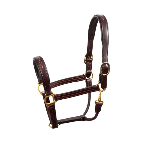 Horse Halter