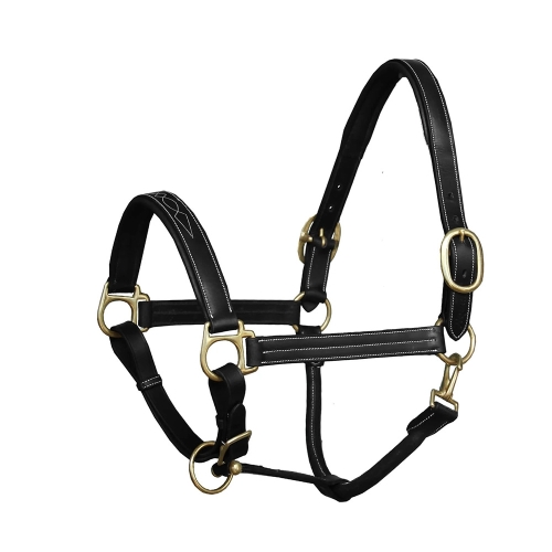 Horse Halter