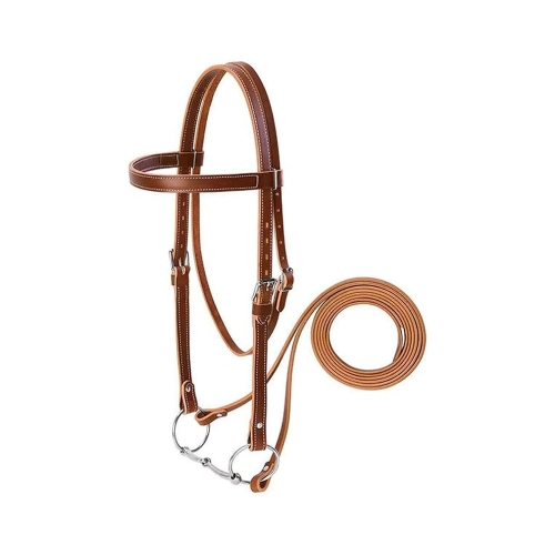 Horse Bridle