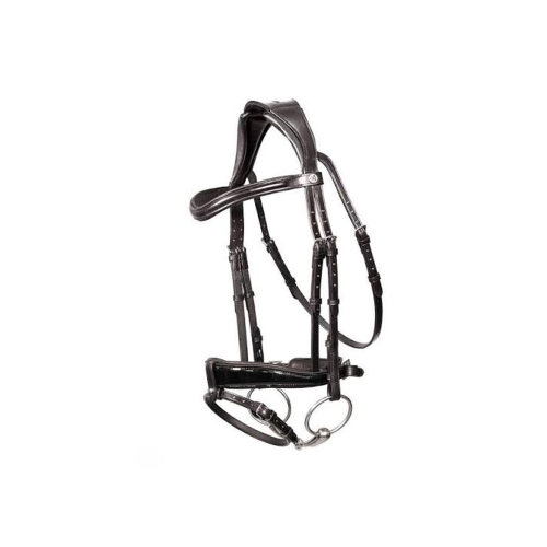 Horse Bridle