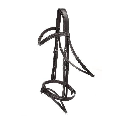 Horse Bridle