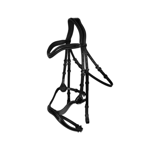Horse Bridle