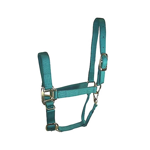 Horse Halter