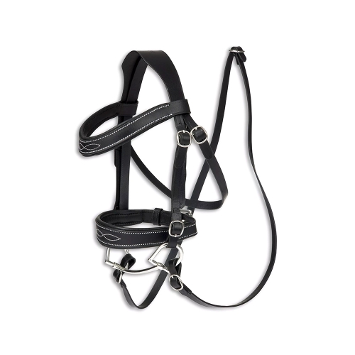 Horse Bridle
