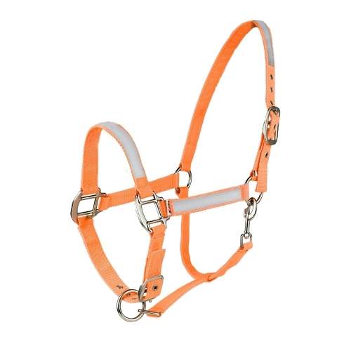 Horse Halter