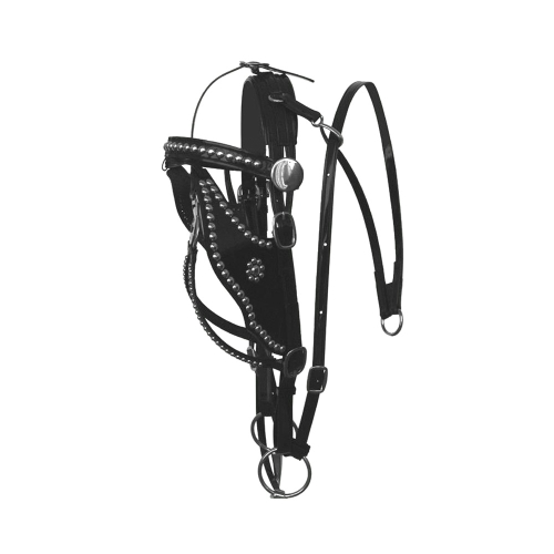 Horse Bridle